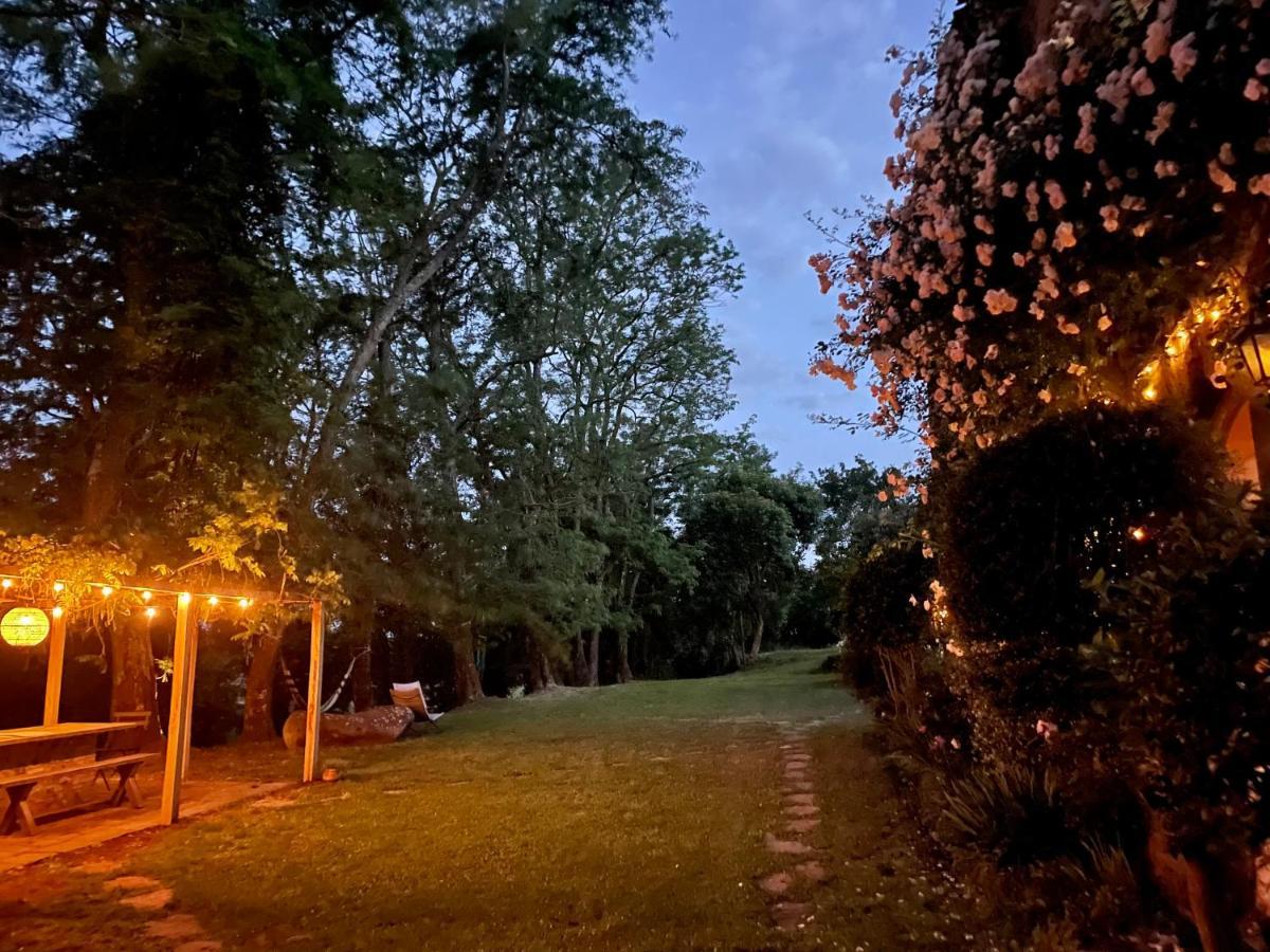 Bed and Breakfast Collina Blu Bolsena Zewnętrze zdjęcie