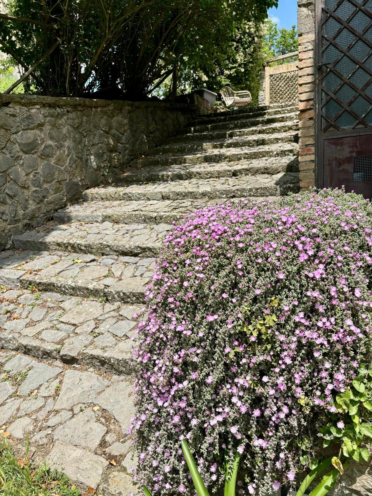 Bed and Breakfast Collina Blu Bolsena Zewnętrze zdjęcie
