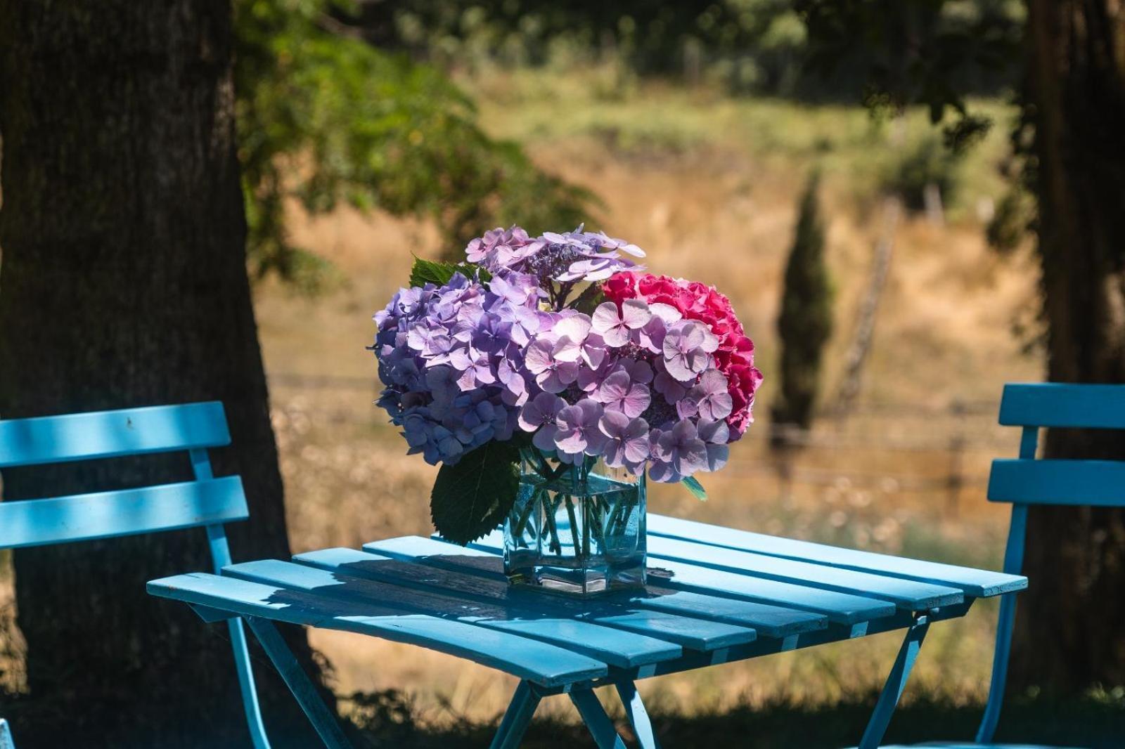 Bed and Breakfast Collina Blu Bolsena Zewnętrze zdjęcie